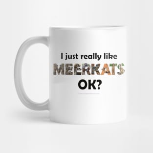 I just really like meerkats ok? - wildlife oil painting word art Mug